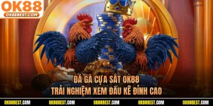 Đá Gà Cựa Sắt OK88 - Trải Nghiệm Xem Đấu Kê Đỉnh Cao