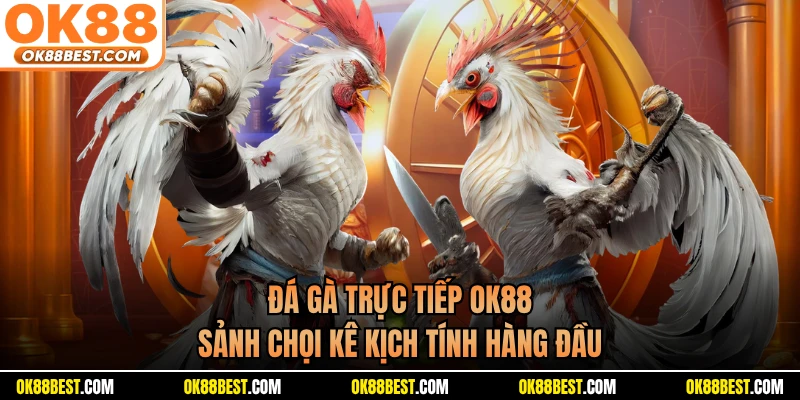 Đá Gà Trực Tiếp OK88 - Sảnh Chọi Kê Kịch Tính Hàng Đầu