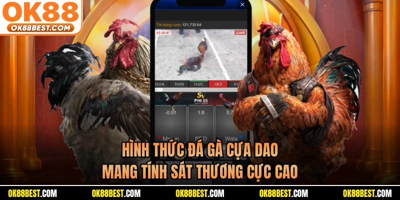 Hình thức đá gà cựa dao mang tính sát thương cực cao