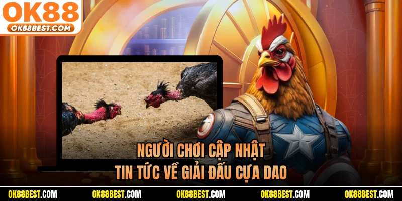 Người chơi cập nhật tin tức về giải đấu cựa dao