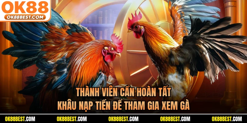 Thành viên cần hoàn tất khâu nạp tiền để tham gia xem gà