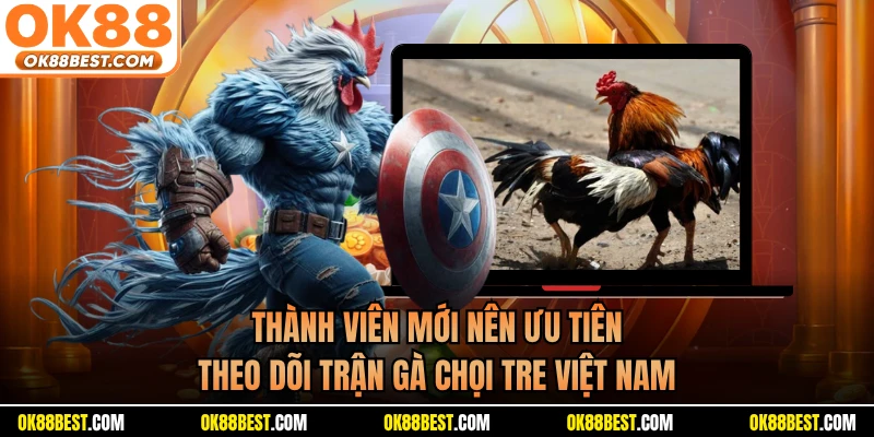 Thành viên mới nên ưu tiên theo dõi trận gà chọi tre Việt Nam