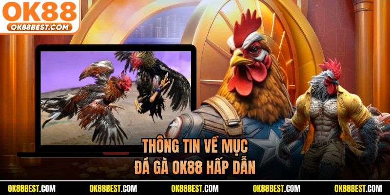 Thông tin về mục đá gà OK88 hấp dẫn 